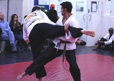 rown belt test - basic take down techniques at national grading in London