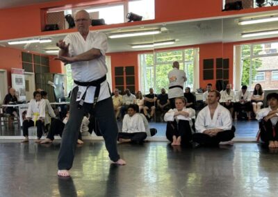 Jake Fitzpatrick competing in Veterans category in SSK Taolu ( Foms / Patterns / Kata ) competition